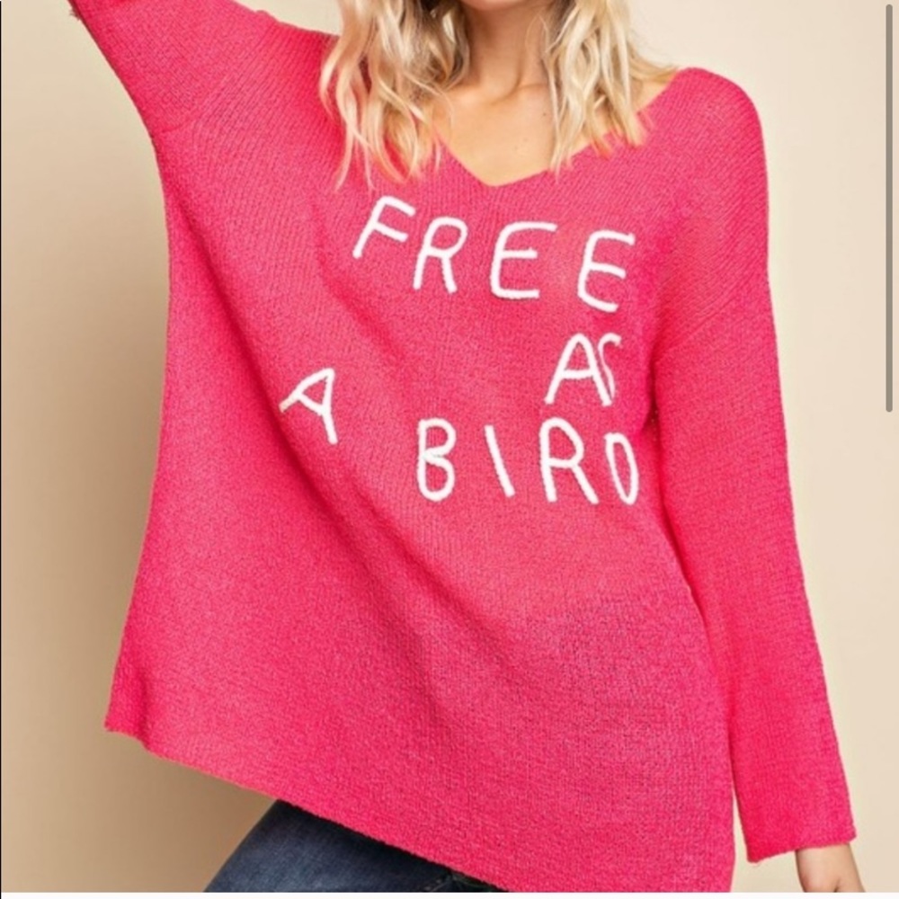 LAST- Free as a Bird Knit Oversized Tunic sweater - Picture 3 of 5
